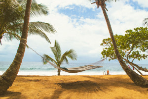 Island_Plantation_beachhammock