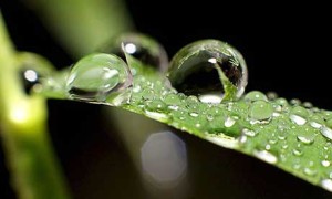 raindrops460x276